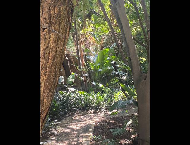 25M² BUSINESS TO LET IN SAFARI GARDENS